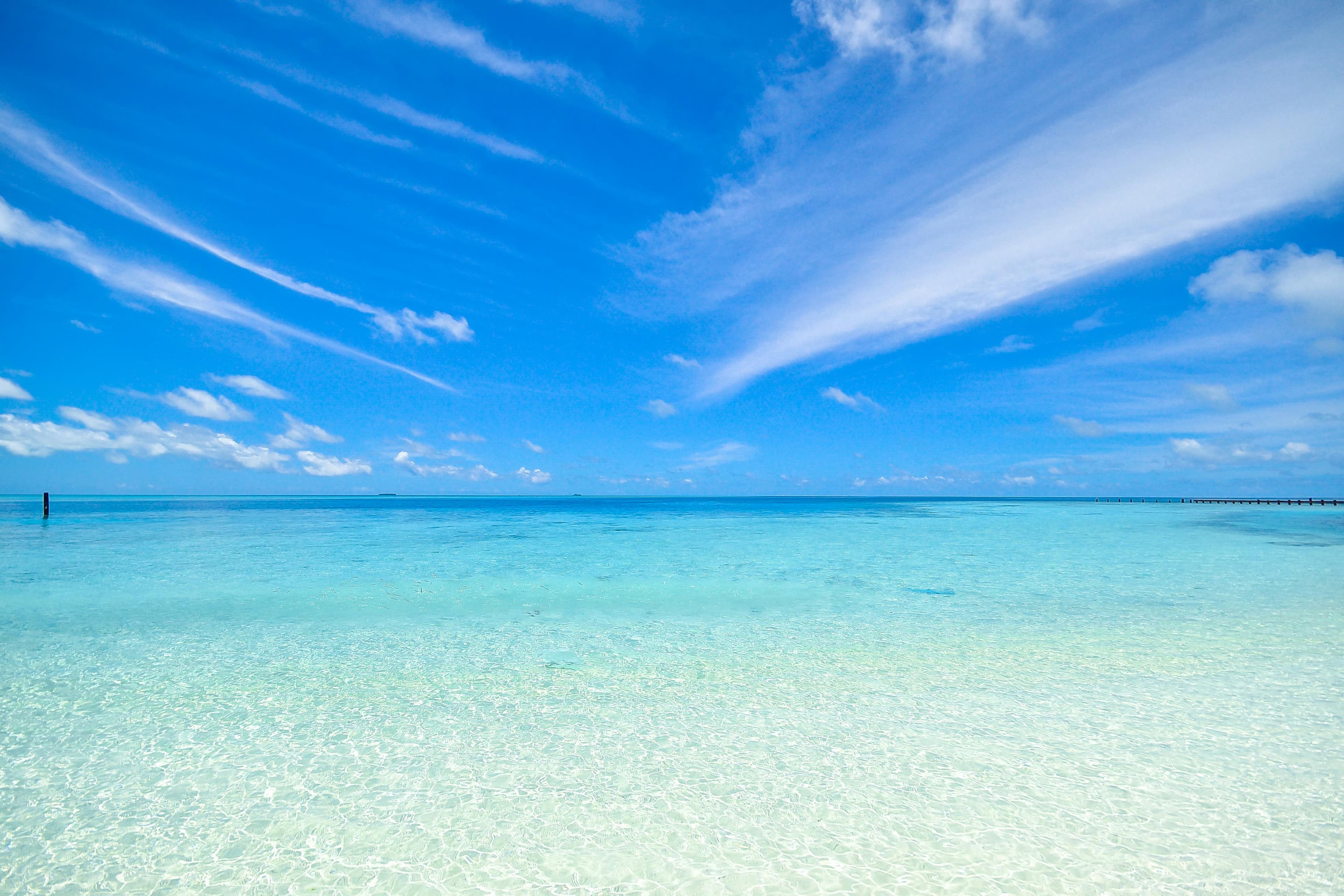 Background 1